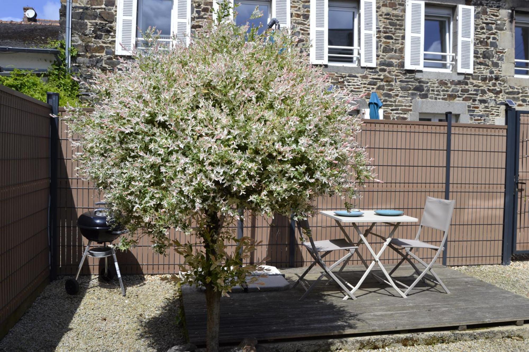 Charmante Petite Maison Proche Du Port, Maison 7 Биник Екстериор снимка